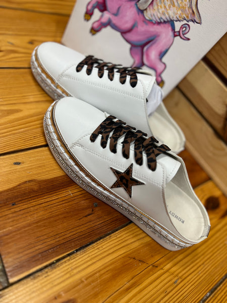 Silver Springs Slides