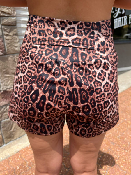 Kitty On The Prowl Shorts