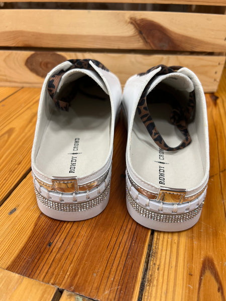 Silver Springs Slides