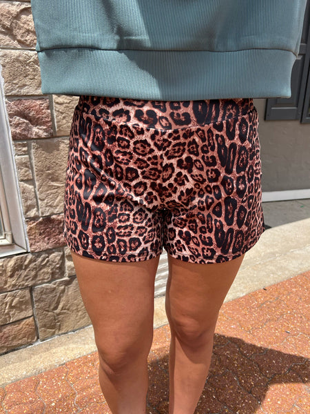 Kitty On The Prowl Shorts