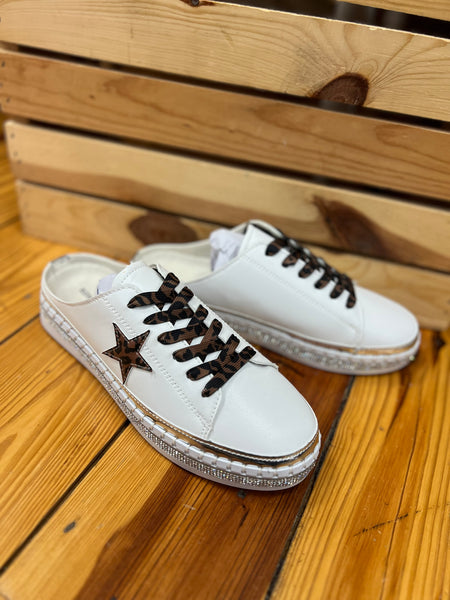 Silver Springs Slides