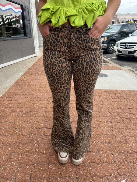 Judy Blue Mr Jaqueline Flare Leopard Luxe