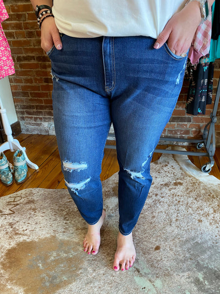 Medium Wash High Rise Distressed Skinny Jeans The Sparkly Pig Jeans