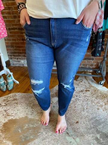Medium Wash High Rise Distressed Skinny Jeans The Sparkly Pig Jeans