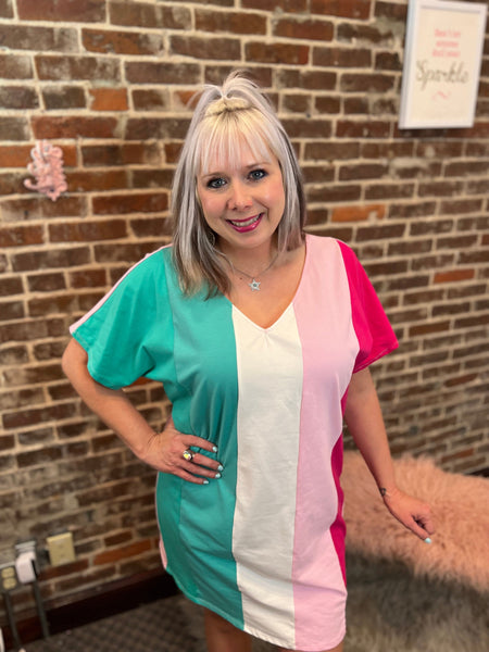 Cotton Span Knit Color Block Dress The Sparkly Pig Dresses